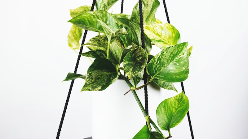 中国足球协会超级联赛现场盛况 - 球迷看台人山人海